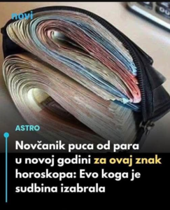 Screenshot 2026-02-15 022030