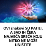 Screenshot 2026-02-16 011624