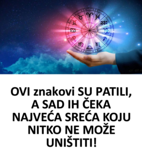 Screenshot 2026-02-16 011624