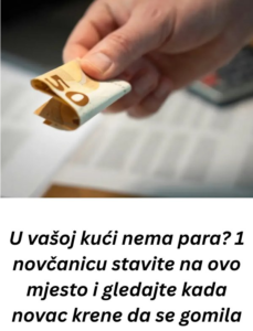 Screenshot 2026-02-18 000209