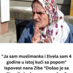 Screenshot 2026-03-02 234850