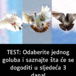 Screenshot 2026-03-04 031747