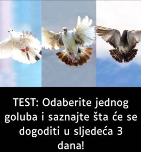 Screenshot 2026-03-04 031747