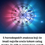 Screenshot 2026-03-13 231339