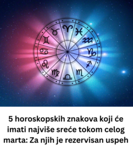 Screenshot 2026-03-13 231339