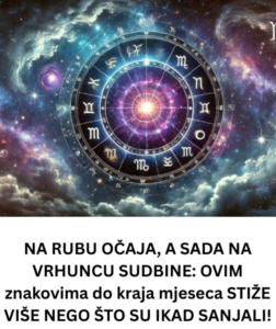 Screenshot 2026-03-14 234307