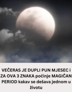 Screenshot 2026-03-16 015905