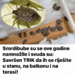 Screenshot 2026-03-31 162105