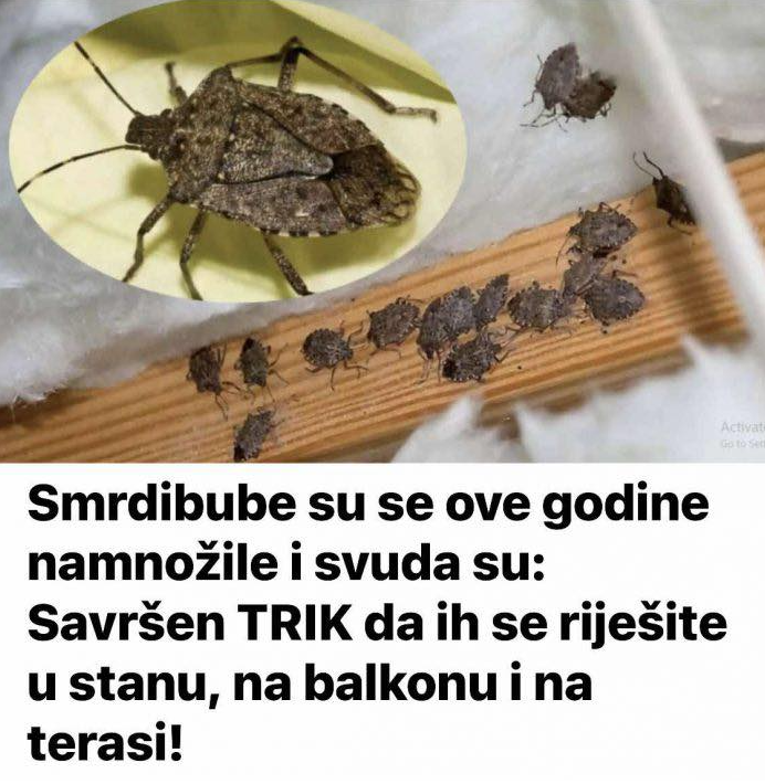 Screenshot 2026-03-31 162105