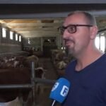 Moderna farma u BiH: Uveo robote i kravama dušeke za odmor (VIDEO)