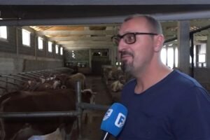 Moderna farma u BiH: Uveo robote i kravama dušeke za odmor (VIDEO)
