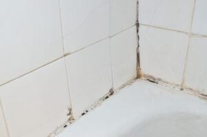 Žena je otkrila kako se riješiti plijesni na rubovima tuš-kabine, a svi su oduševljeni