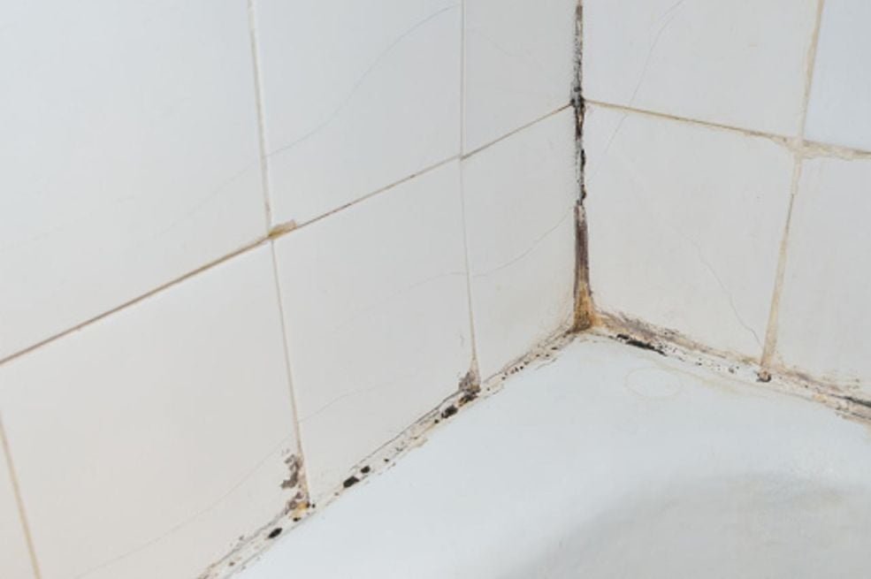 Žena je otkrila kako se riješiti plijesni na rubovima tuš-kabine, a svi su oduševljeni