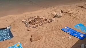 Hit na plaži u Crnoj Gori: Turista donio tepih da rezerviše mjesto, društvene mreže eksplodirale