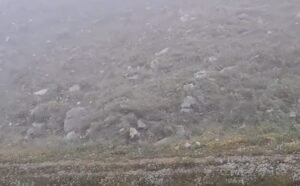 Nevjerovatni prizori u julu: Pao snijeg u Crnoj Gori
