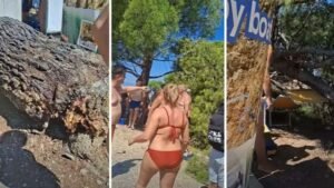 Drama na plaži u Hrvatskoj: Bor od 13,5 metara pao na kupače